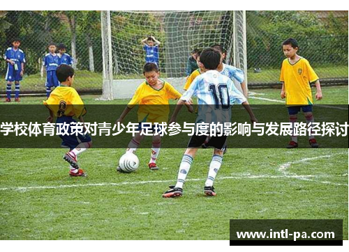 学校体育政策对青少年足球参与度的影响与发展路径探讨
