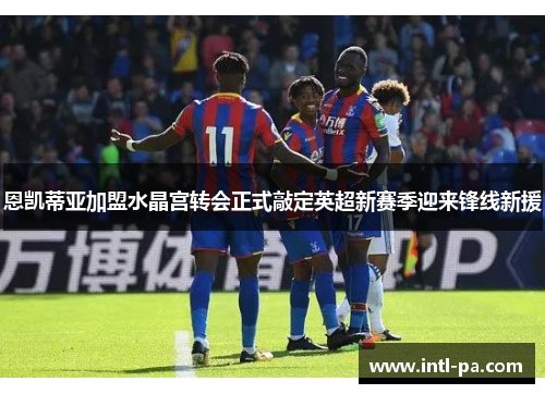 恩凯蒂亚加盟水晶宫转会正式敲定英超新赛季迎来锋线新援