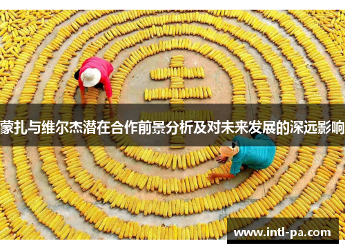 蒙扎与维尔杰潜在合作前景分析及对未来发展的深远影响