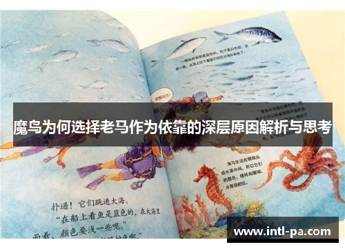 魔鸟为何选择老马作为依靠的深层原因解析与思考